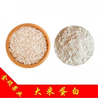 大米蛋白80% 大米蛋白肽 大米水解蛋白 植物蛋白粉 厂家 现货