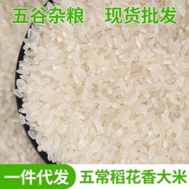 稻花香大米 颗粒饱满 五常稻花香大米 农家自产东北大米批发