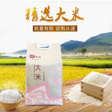 东北大米 黑龙江大米 稻花香米 东北特产 5kg 牛皮袋装 农娃大米