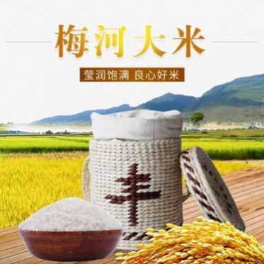 东北新大米 梅河大米鸭田稻 寿司紫菜包饭米 送礼东北特产大米