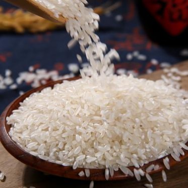 【承德特产】当年大米  新大米  好大米  特产米