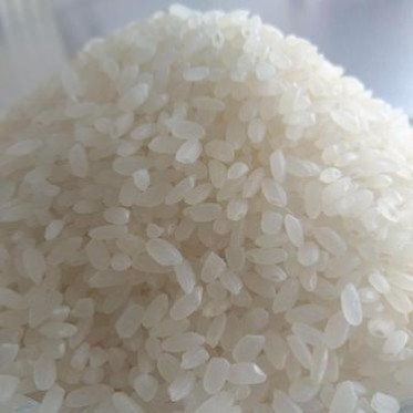 【承德特产】当年大米 新大米  好大米   特产米