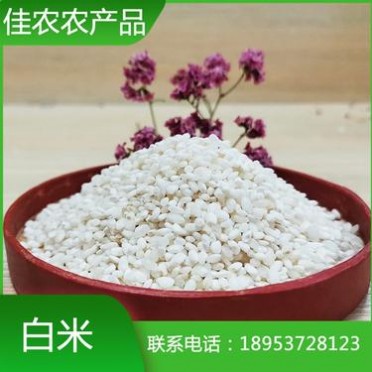 精制白米 圆粒大米 鱼台大米 山东大米生产加工厂家