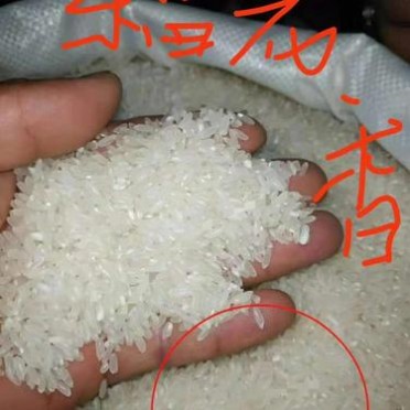 迈翔稻花香大米 东北大米精白米农家自产自销2025年新米现磨现买私人定制大米粳米**黑龙江稻花香米50斤装