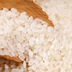 批发特产大米 东北优质品种大米  好劲道大米