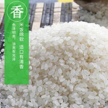 批发香醇大米寿司大米寿司**大米日本料理米15kg包装大米