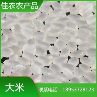 山东大米加工厂 厂家批发优质鱼台大米 原生态大米 白米批发价格