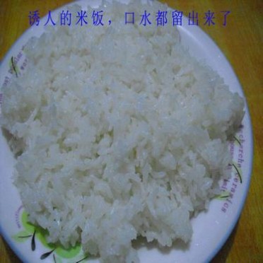 五常大米 稻花香二号 东北大米25kg现磨大米批发厂家直批代理加盟