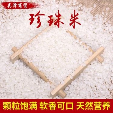 现货批发东北大米珍珠米 圆粒大米5KG 10KG 25KG大米 珍珠圆粒米