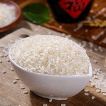 掌中禾  2025年东北大米5kg包装 香大米 圆粒珍珠米新米黑龙江大米 10斤 会销礼品 厂家直批有机大米