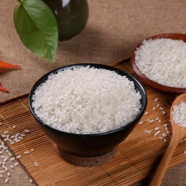 甄每未东北大米10斤 东北大米5kg 稻花香2号长粒大米厂家直批