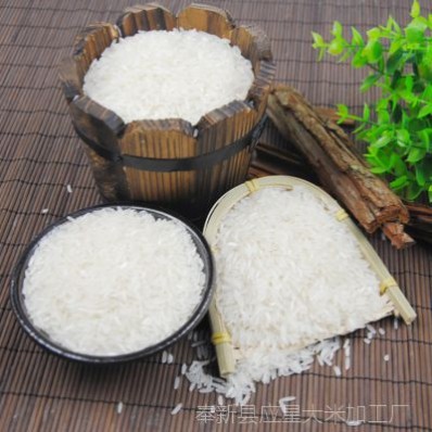 专业大米厂商5kg五常大米、东北有机大米、优质好大米粳糯稻米