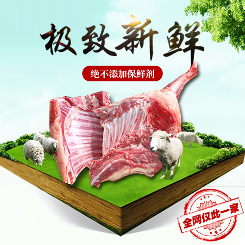 供应新鲜羊肉
